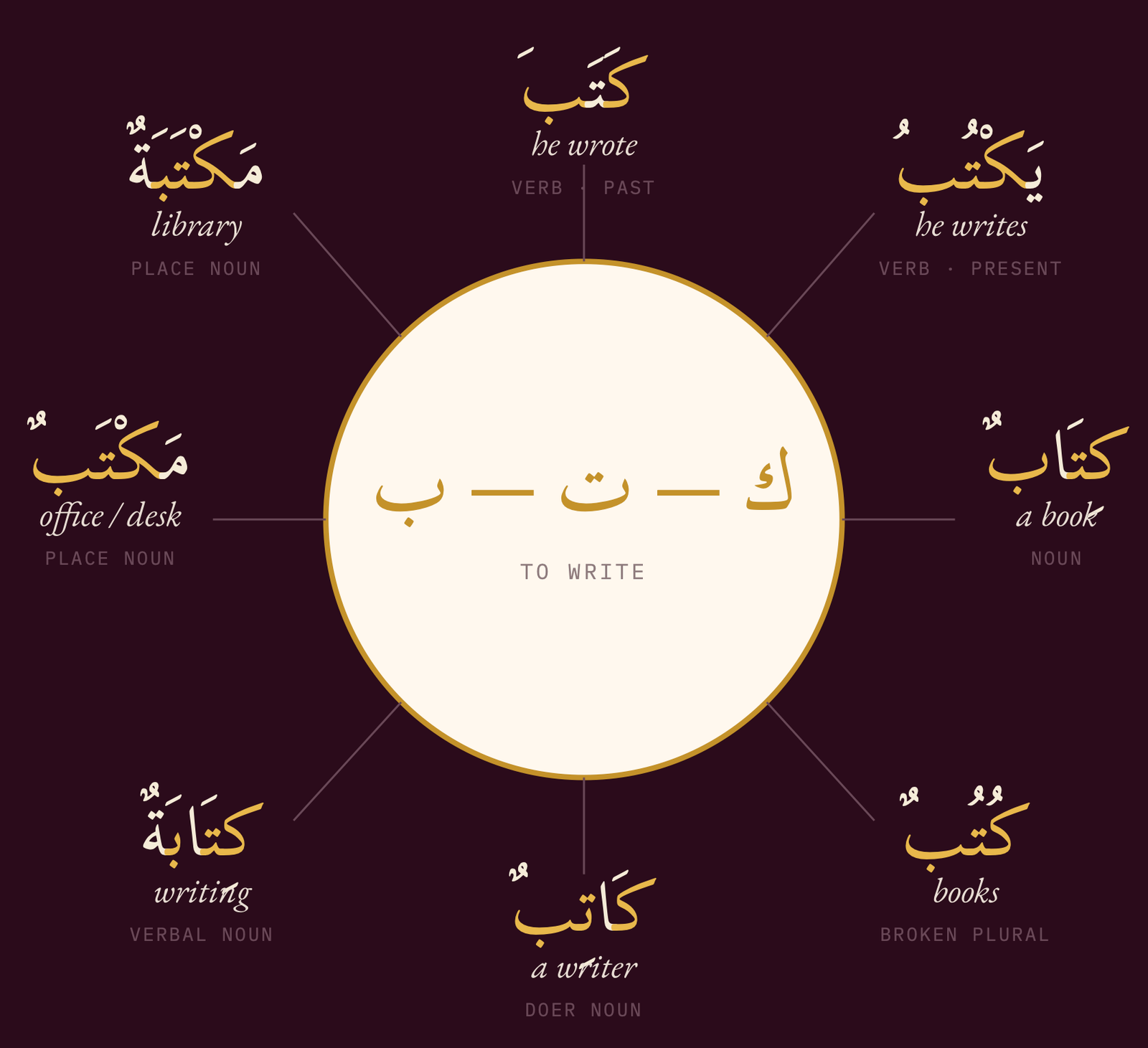 Arabic Root System